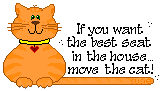 cat seat